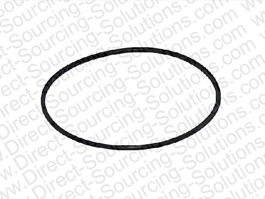 DSS 202373 Ring sealing 202373