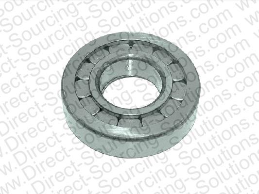 DSS 270069 Bearing Differential 270069