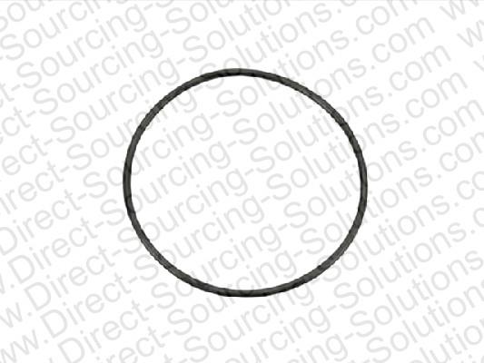 DSS 207897 Ring sealing 207897