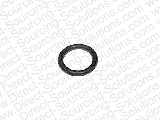 DSS 104066 Ring sealing 104066