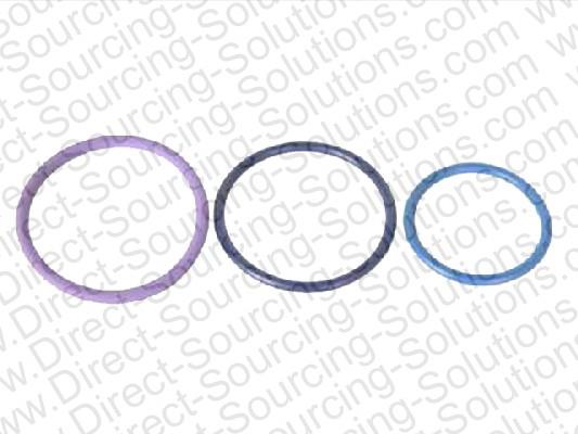 DSS 203869 O-rings for fuel injectors, set 203869