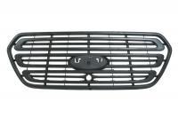 Grille radiator Blic 6502-07-2518990P