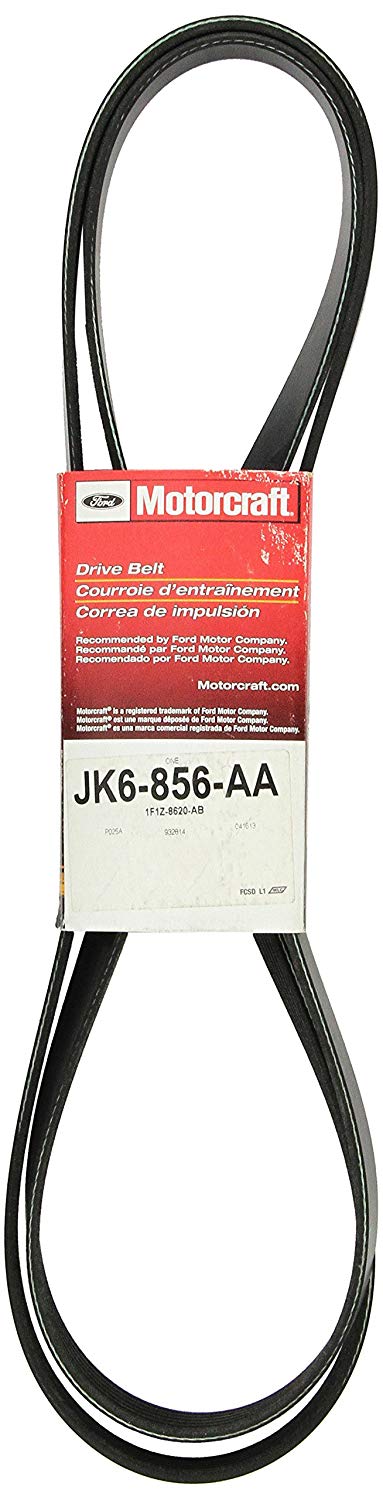 Motorcraft JK-6856AA V-Ribbed Belt JK6856AA