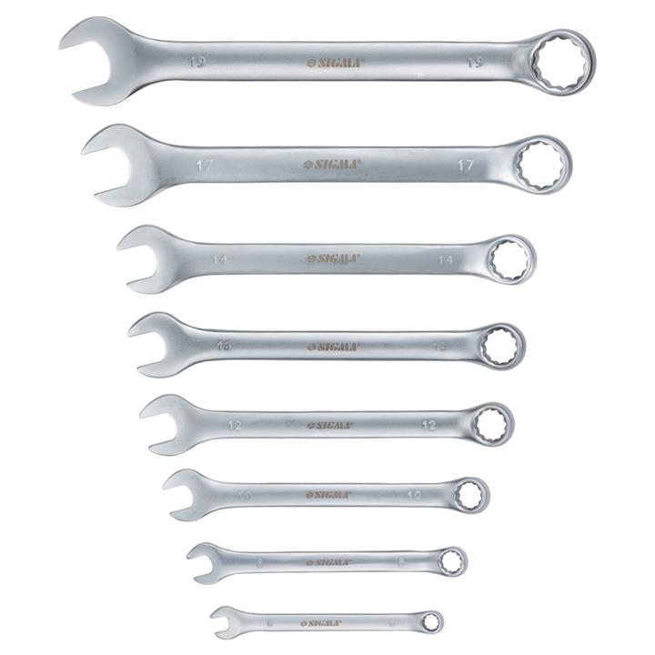 Set of combined wrenches Sigma 6010111