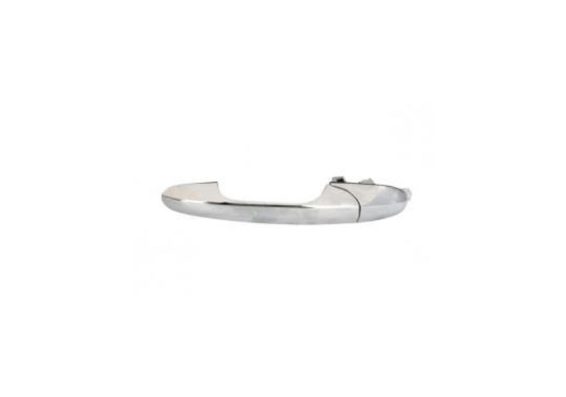 Handle-assist Blic 6010-07-041402P