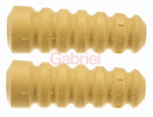 Gabriel GP067 Shock Absorber Kit GP067
