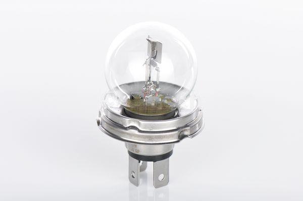 Bosch Halogen lamp Bosch Trucklight 24V R2 55/50W – price [object Object] PLN