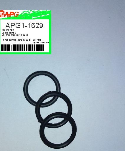 APG APG1-1629 Ring sealing APG11629