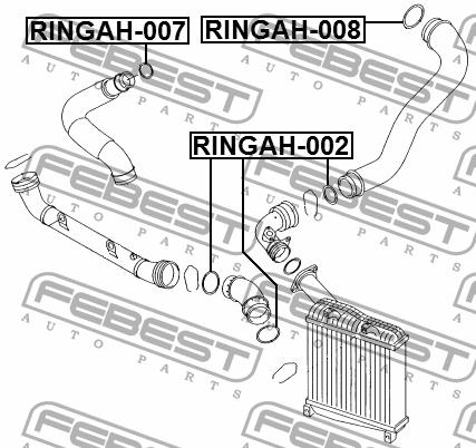 Intercooler pipe gasket Febest RINGAH-008
