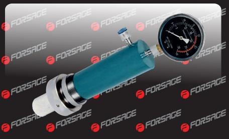 Forsage F-0100-1A Auto part F01001A