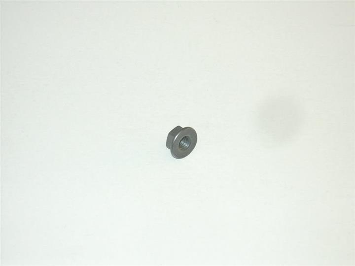N10017304 VAG Nut