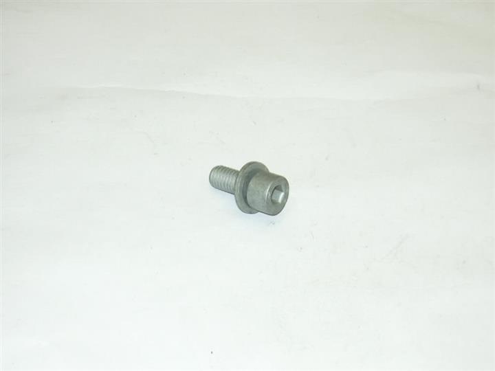 N10055703 VAG Bolt