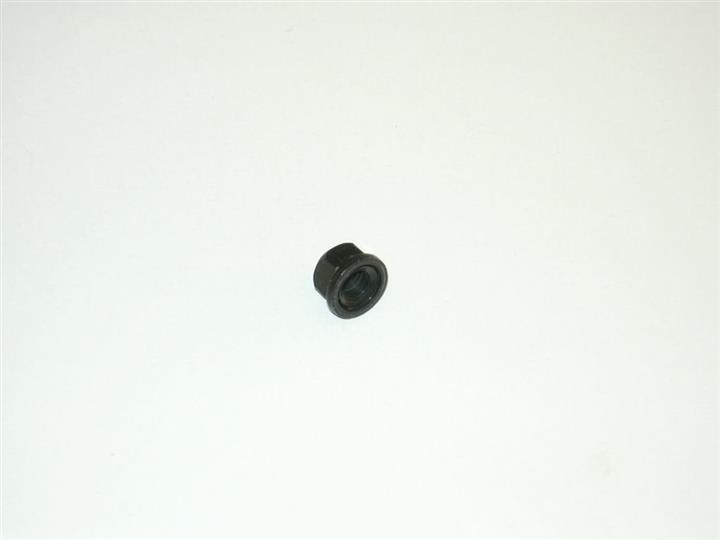 N10340004 VAG Nut
