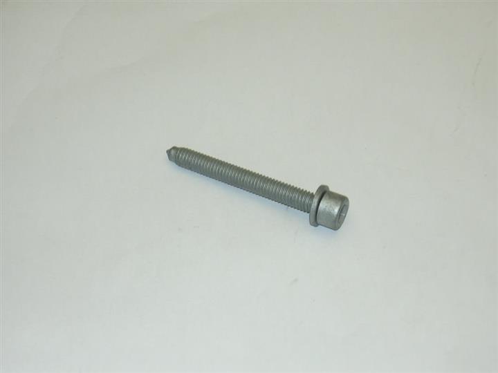 N10408602 VAG Bolt