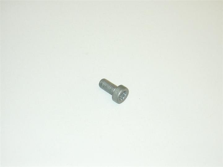 N90355405 VAG Bolt