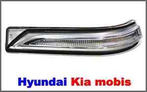 Hyundai/Kia 87613 C1000 Turn signal repeater in left mirror 87613C1000