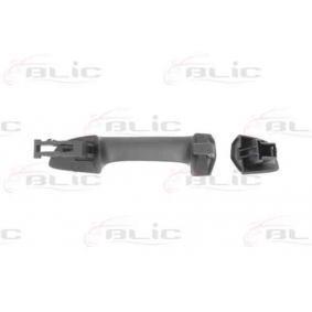 Handle-assist Blic 6010-43-009401P