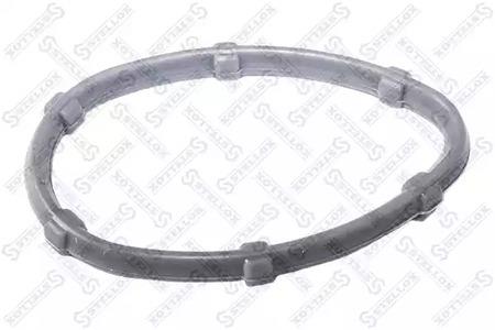 Air inlet manifold gasket Renault Duster: 1126069SX Stellox Intake manifold gasket