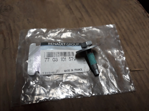 7703101579 Renault Bolt