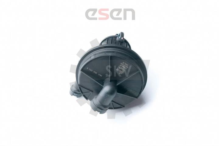Esen SKV Auxiliary air pump – price