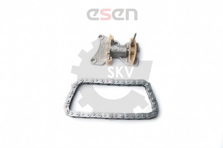 Esen SKV 21SKV020 Timing chain kit 21SKV020