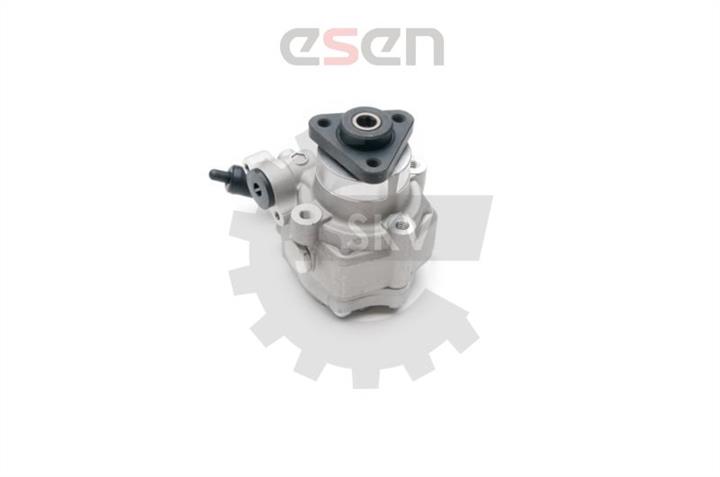 Hydraulic Pump, steering system Esen SKV 10SKV193