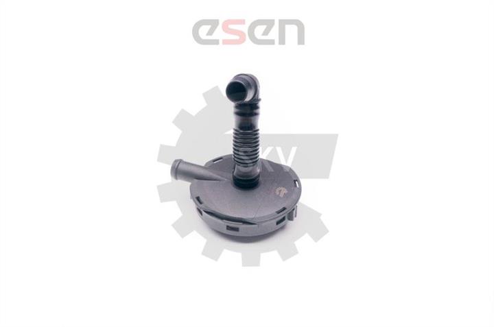 Valve, engine block breather Esen SKV 31SKV024