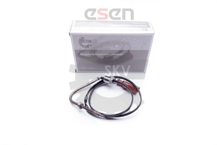 Esen SKV 30SKV037 Exhaust gas temperature sensor 30SKV037