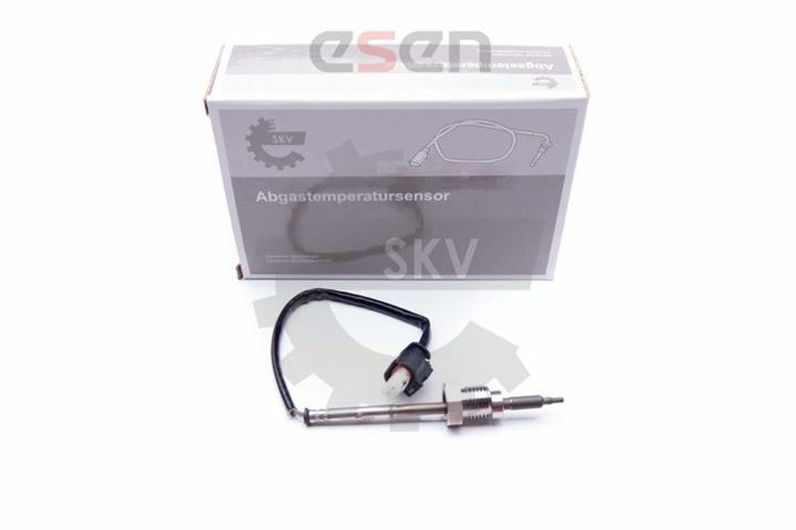 Esen SKV 30SKV020 Exhaust gas temperature sensor 30SKV020