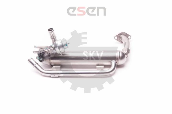 EGR Valve Esen SKV 14SKV118