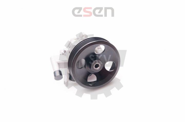 Hydraulic Pump, steering system Esen SKV 10SKV214
