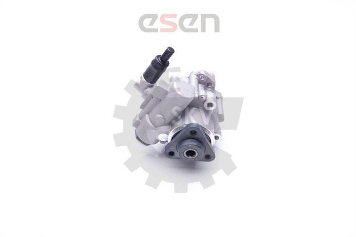 Hydraulic Pump, steering system Esen SKV 10SKV196