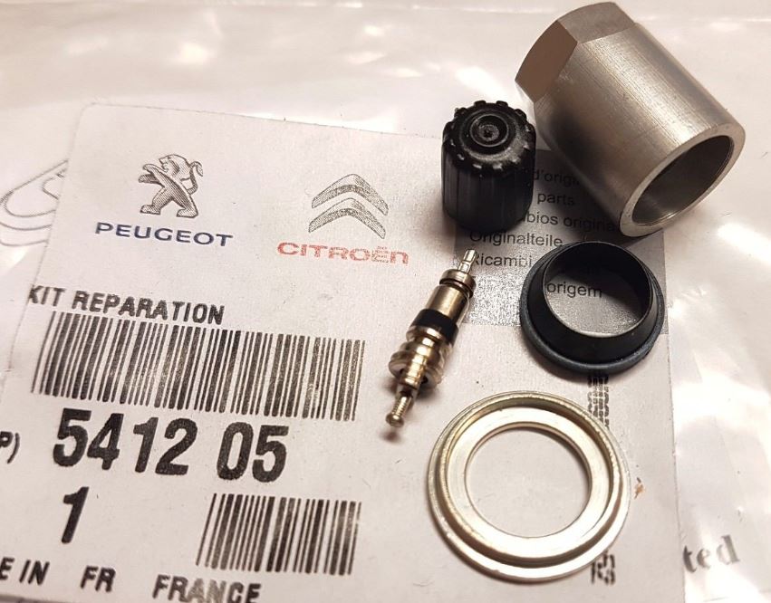 Buy Citroen&#x2F;Peugeot 541205 – good price at EXIST.AE!