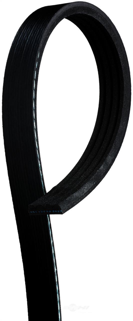 12576447 AC Delco Poly-V belt