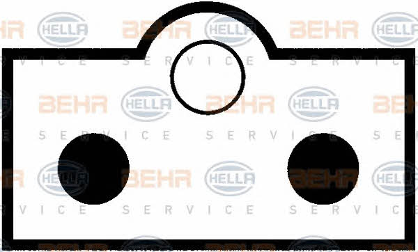 Behr-Hella 8EW 009 158-761 Hub, engine cooling fan wheel 8EW009158761