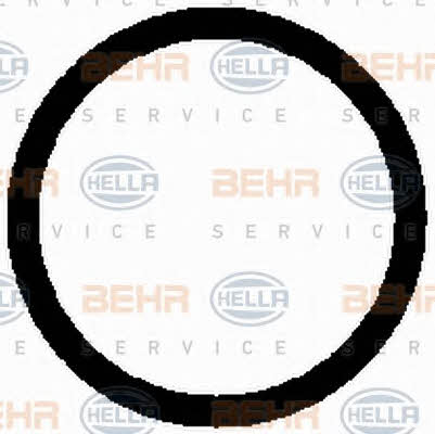 Behr-Hella 8FK 351 098-521 Compressor, air conditioning 8FK351098521