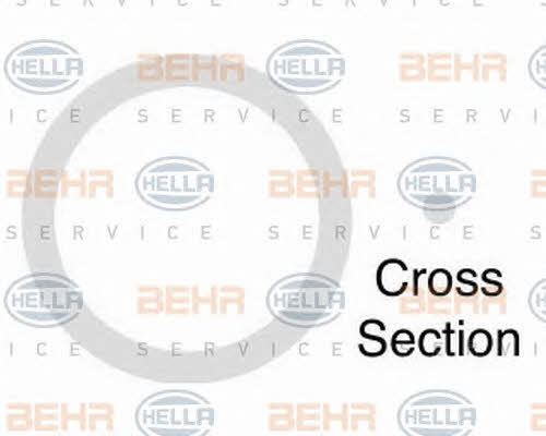 Buy Behr-Hella 9GR351281971 – good price at EXIST.AE!
