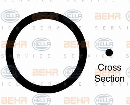 Behr-Hella 9GR 351 285-971 O-rings, set 9GR351285971