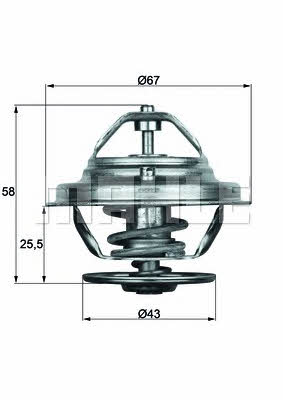 Buy Mahle/Behr TX 19 75D at a low price in United Arab Emirates!