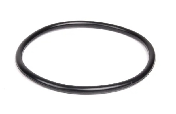 O-ring of the vacuum pump BMW 11 66 7 794 767