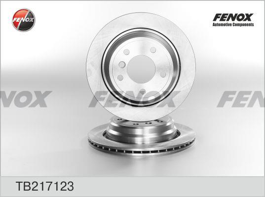 Fenox TB217123 Brake disc TB217123