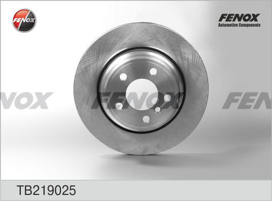 Fenox TB219025 Rear ventilated brake disc TB219025
