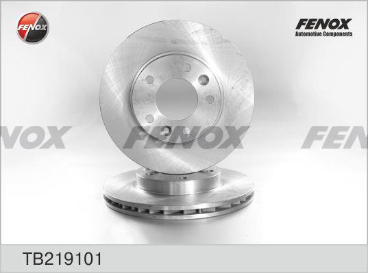 Fenox TB219101 Front brake disc ventilated TB219101