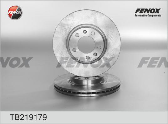 Fenox TB219179 Front brake disc ventilated TB219179