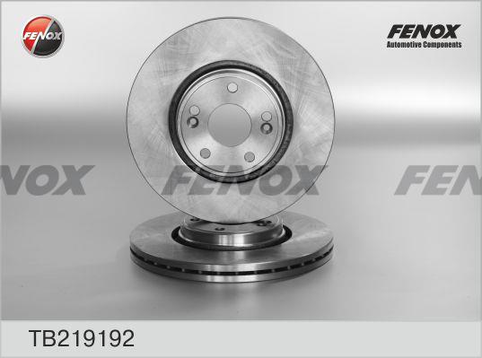 Fenox TB219192 Front brake disc ventilated TB219192
