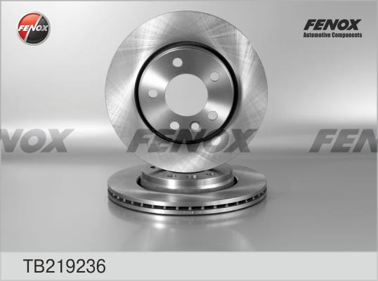 Fenox TB219236 Rear ventilated brake disc TB219236