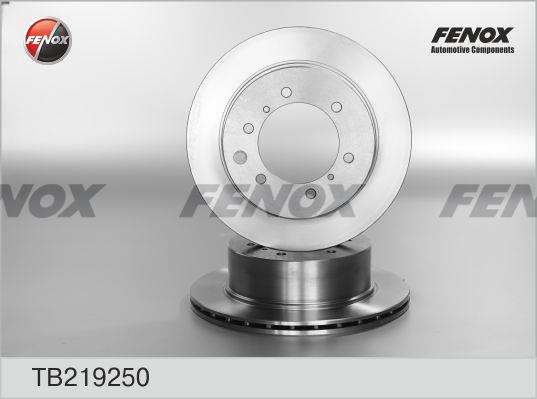 Fenox TB219250 Rear ventilated brake disc TB219250