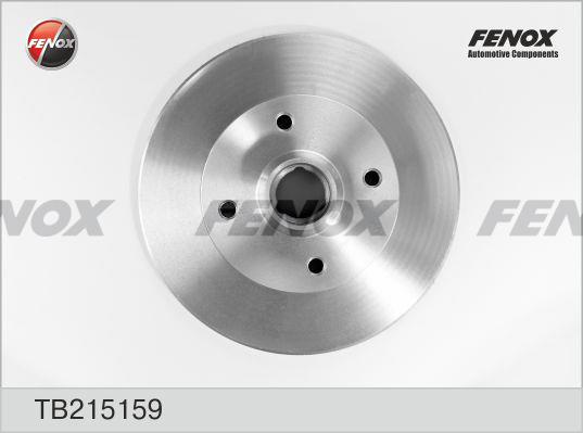 Fenox TB215159 Rear brake disc, non-ventilated TB215159