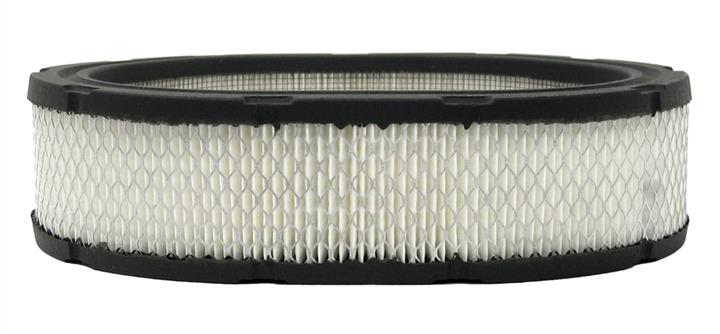 AC Delco A1113C Air filter A1113C