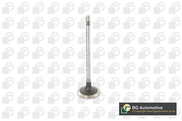 BGA V222531 Intake valve V222531